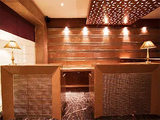 The Regent Hotel Chandigarh 3*,